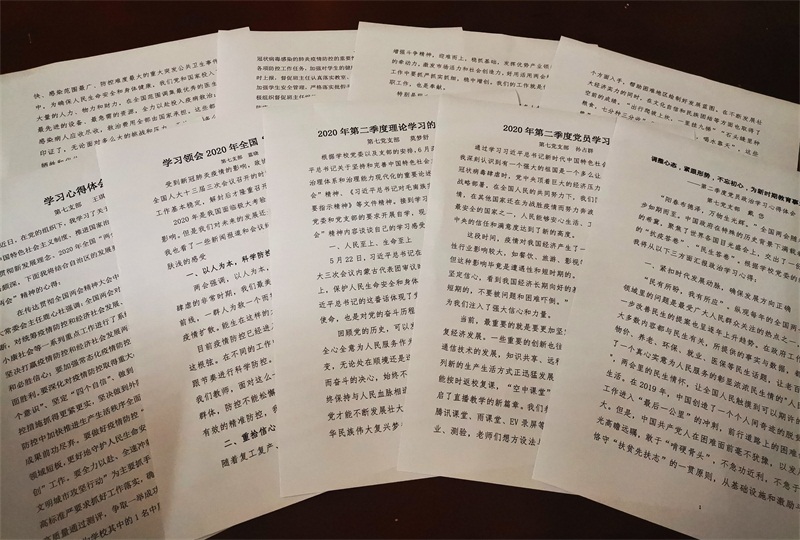 3.黨員理論學習心得展示.jpg