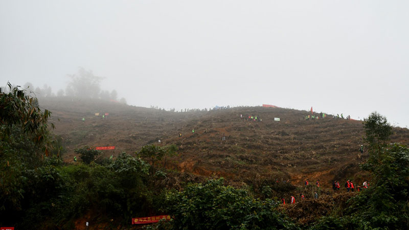 圖片2-植樹活動現(xiàn)場.jpg